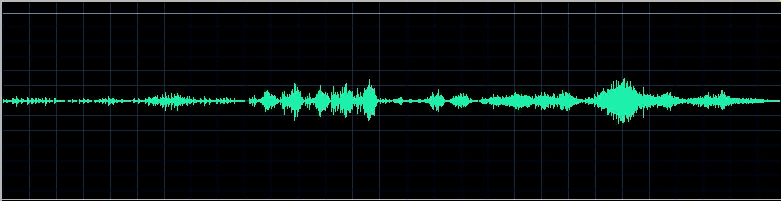 Håkon Austbø waveform