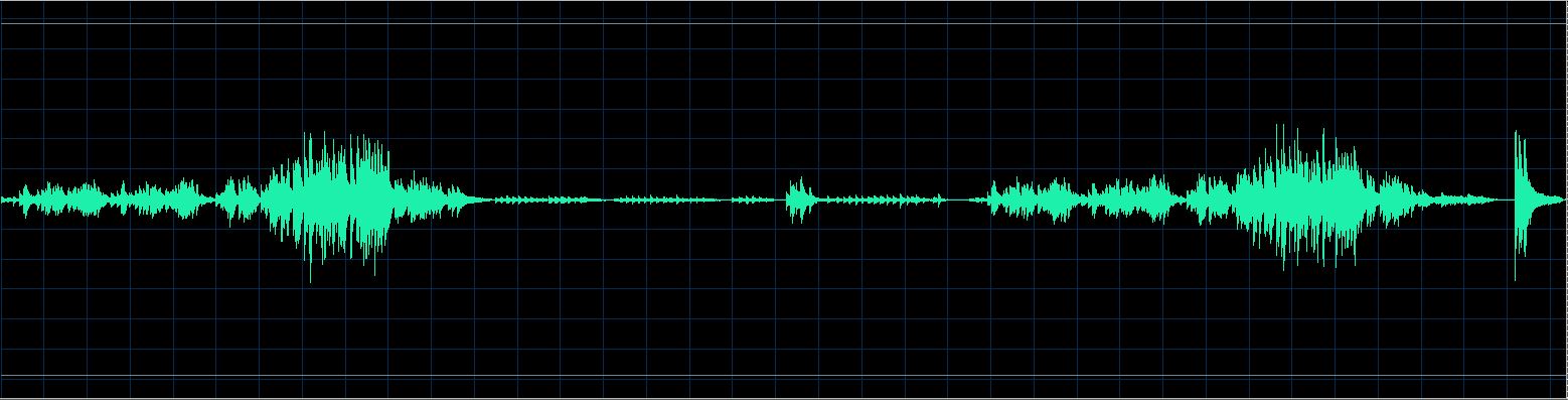 Håkon Austbø waveform