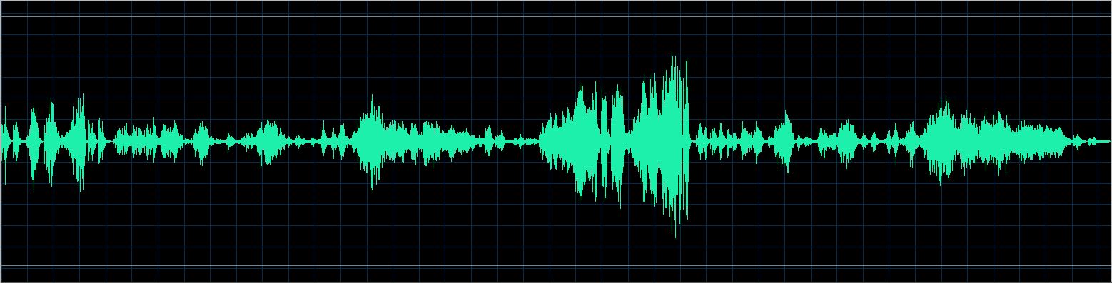 Håkon Austbø waveform