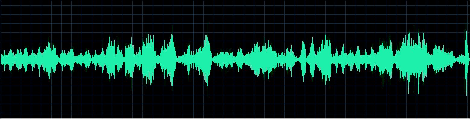 Håkon Austbø waveform