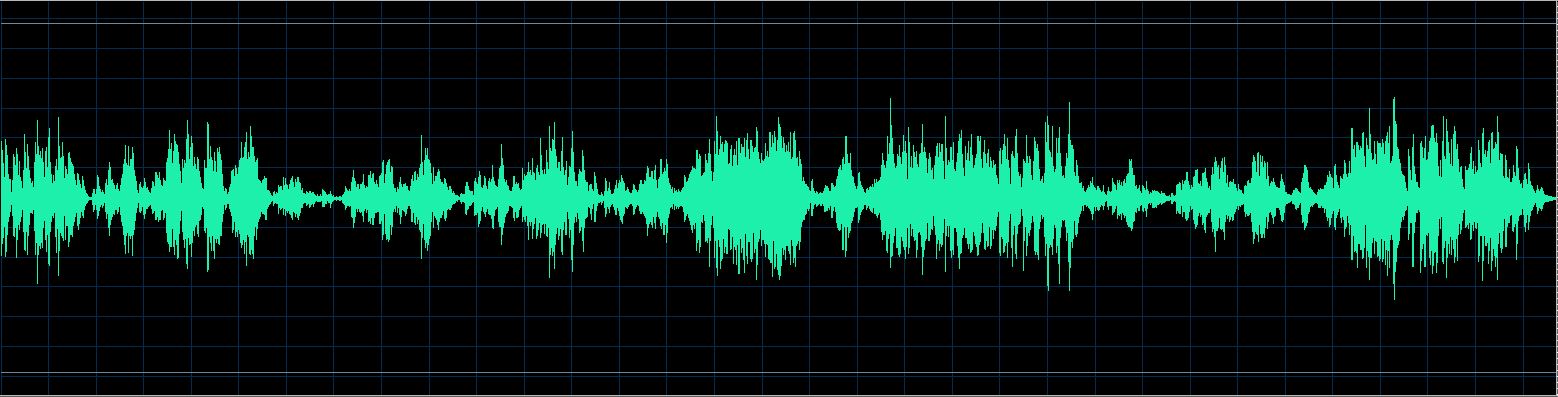 Håkon Austbø waveform