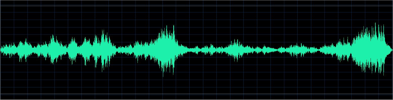 Håkon Austbø waveform