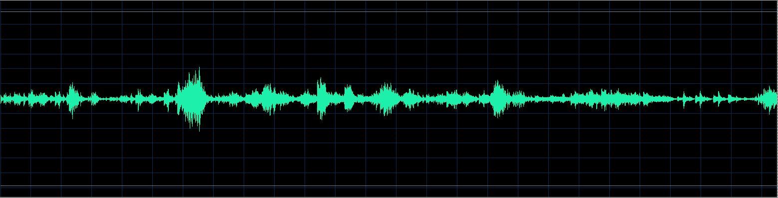 Håkon Austbø waveform