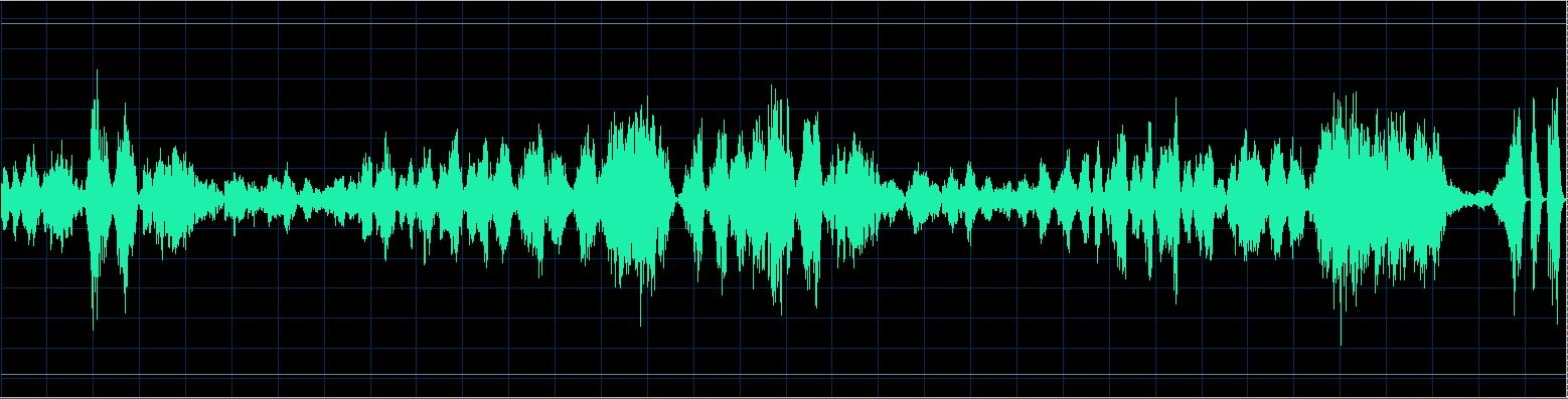 Håkon Austbø waveform